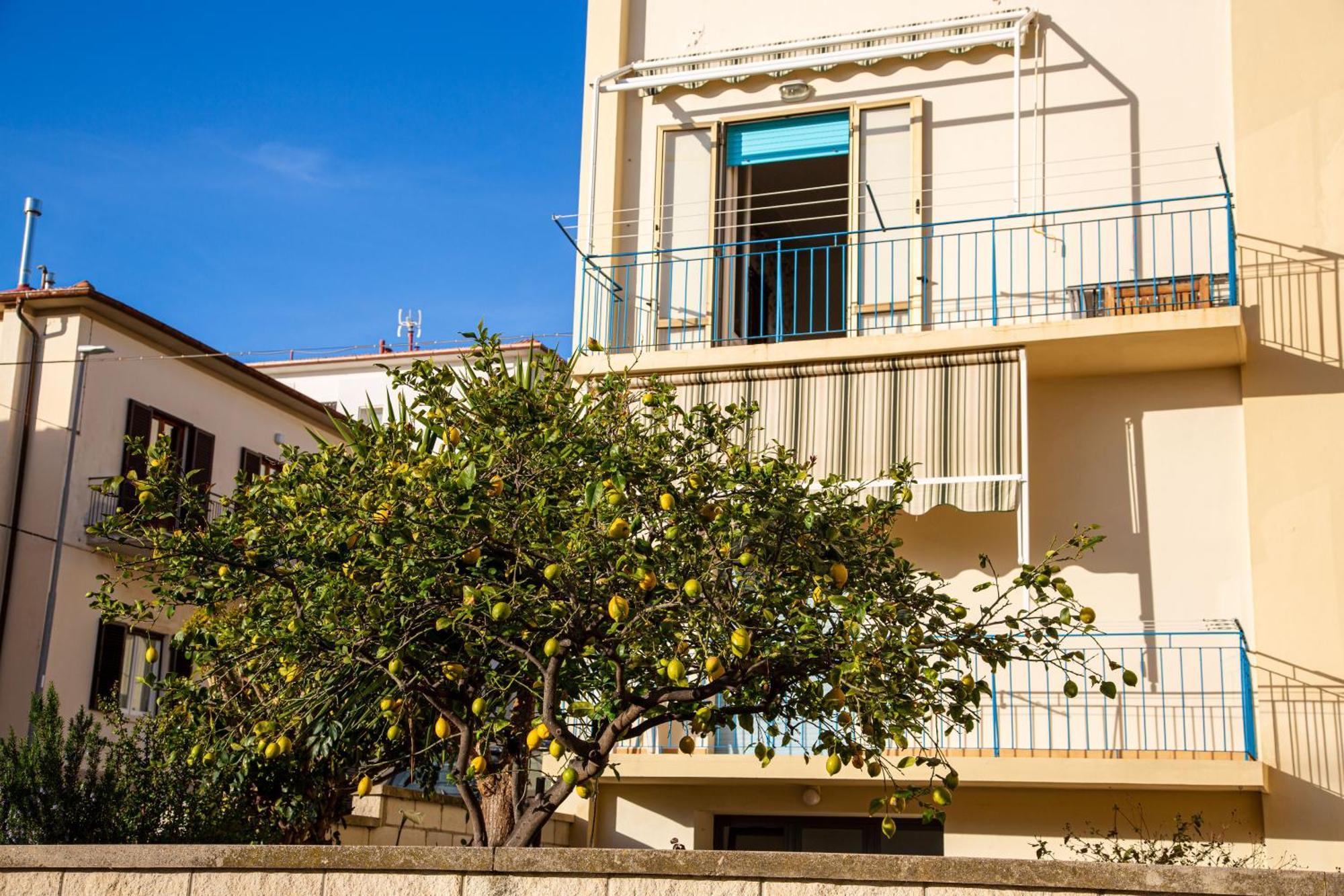 Appartamento Il Limone Zona Centrale Vista Mare San Vincenzo Ngoại thất bức ảnh